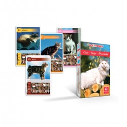 002150 KARTY DO GRY KWARTET ZWIERZĘTA KOTY