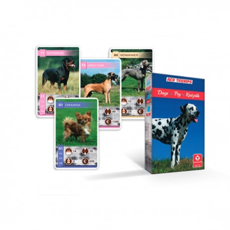 002167 KARTY DO GRY KWARTET ZWIERZĘTA PSY