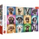 10462 TREFL PUZZLE 1000 EL. ZABAWNE PSIE PORTRETY