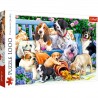 10556 TREFL PUZZLE 1000 EL. PSY W OGRODZIE