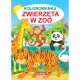222008 MARTEL KOLOROWANKA ZWIERZĘTA W ZOO