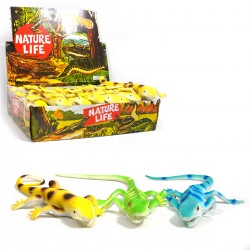 653763 JASZCZÓRKA Z GROSZKIEM