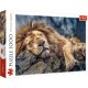 10447 TREFL PUZZLE 1000 EL. ŚPIĄCY LEW