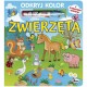 810890 KSIĄŻECZKA ODKRYJ KOLOR ZWIERZĘTA MOREX