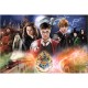 23001 TREFL PUZZLE 300 EL. TAJEMNICZY HARRY POTTER