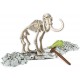 608904 Clementoni Skamieniałości - Mamut Fluorescencyjny