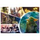 16413 TREFL PUZZLE 100 el. BABY YODA