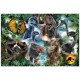 23013 TREFL PUZZLE 300 el. DINOZAURY