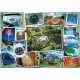 10726 TREFL PUZZLE 1000 el. WESOŁE ZDJĘCIA
